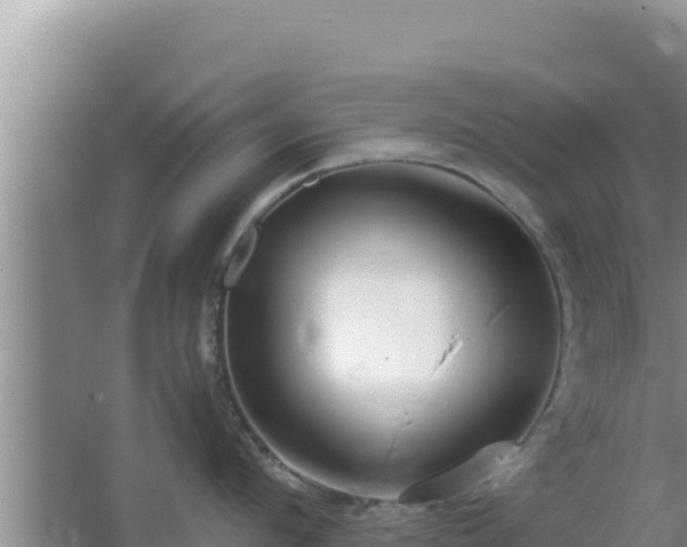 X0000064730912200602131247