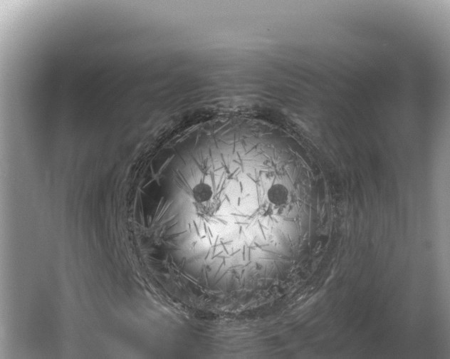 X0000064730913200602131246