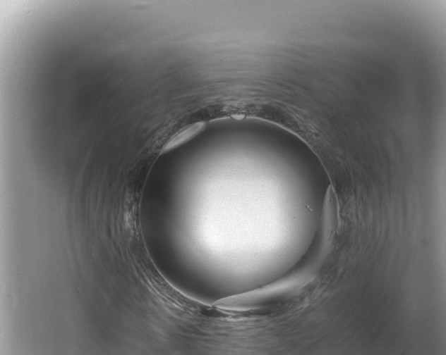 X0000064730914200602131246