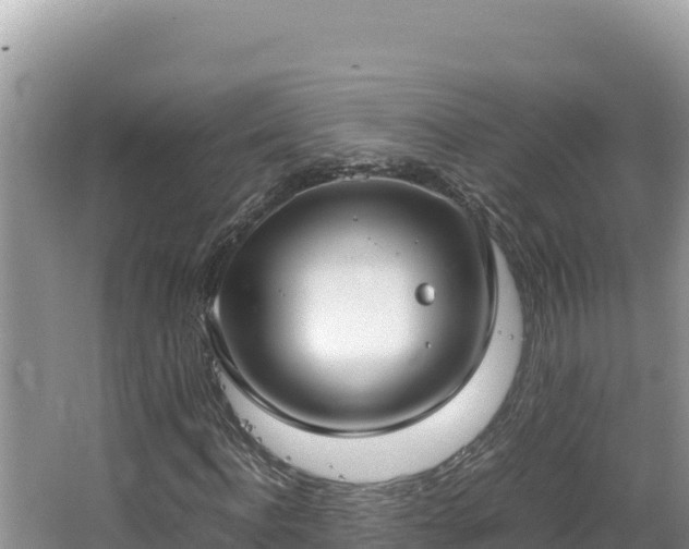 X0000064730916200602131246