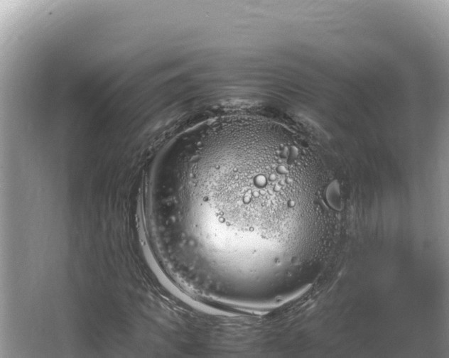 X0000064730917200602131246