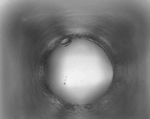 X0000064730918200602131246