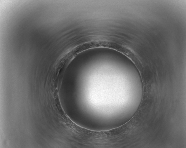 X0000064730919200602131246