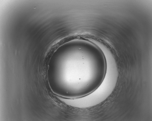 X0000064730920200602131246