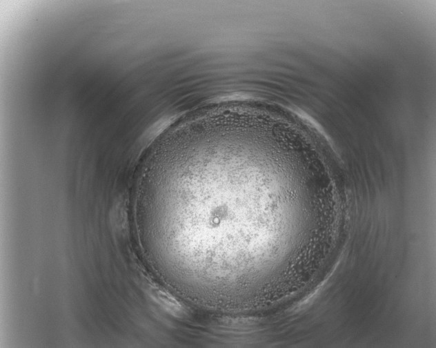 X0000064730921200602131246