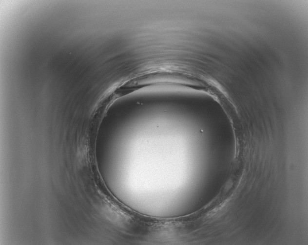 X0000064730922200602131246