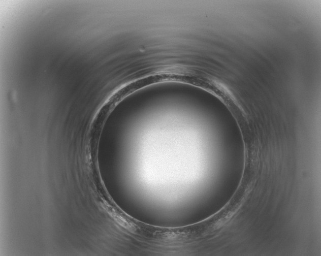 X0000064730923200602131246