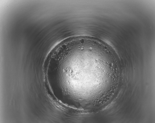 X0000064730925200602131246