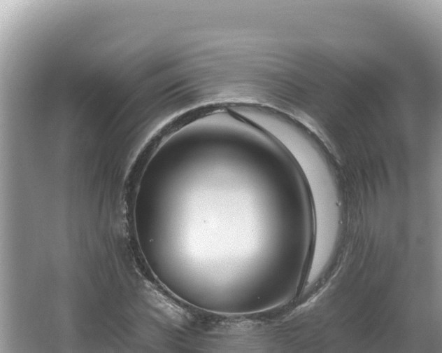 X0000064730926200602131246