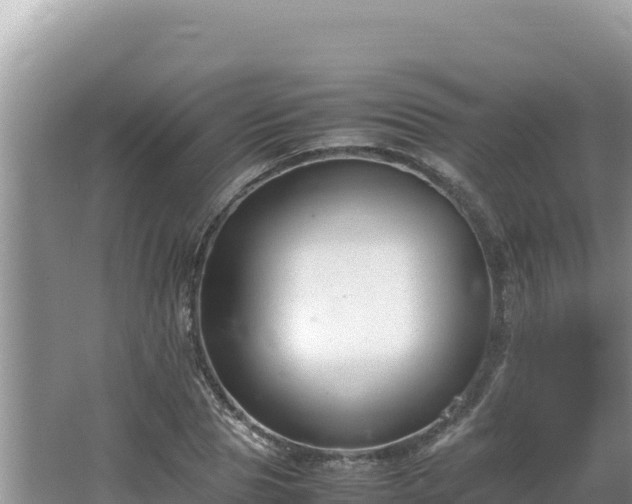 X0000064730929200602131246