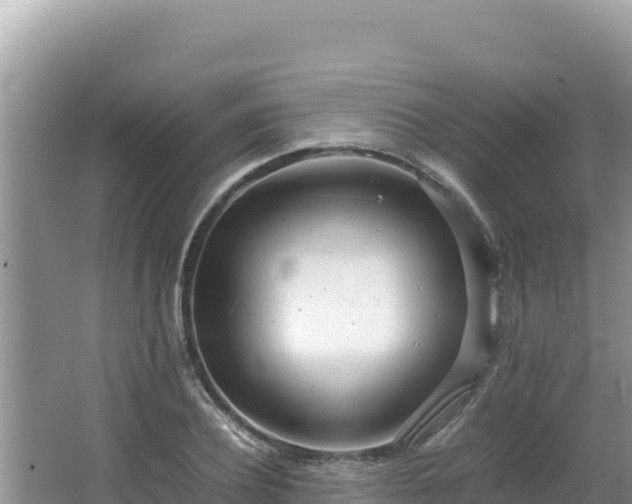 X0000064730932200602131246