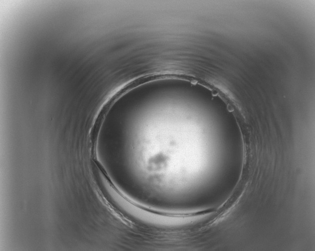 X0000064730933200602131246