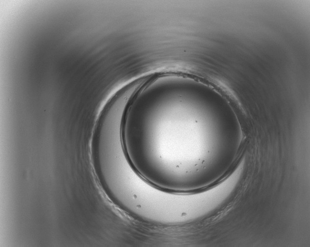 X0000064730936200602131246