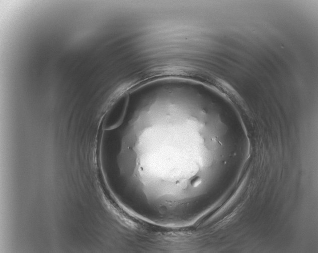 X0000064730938200602131246