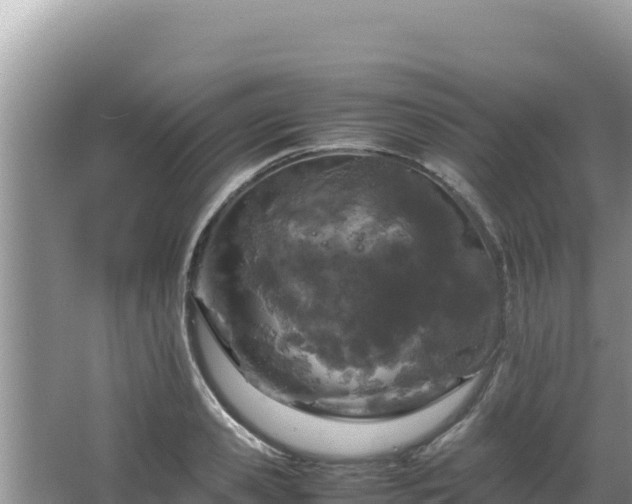 X0000064730941200602131246