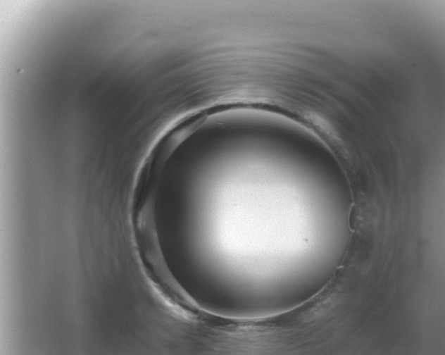 X0000064730942200602131246