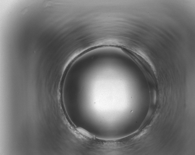 X0000064730944200602131246