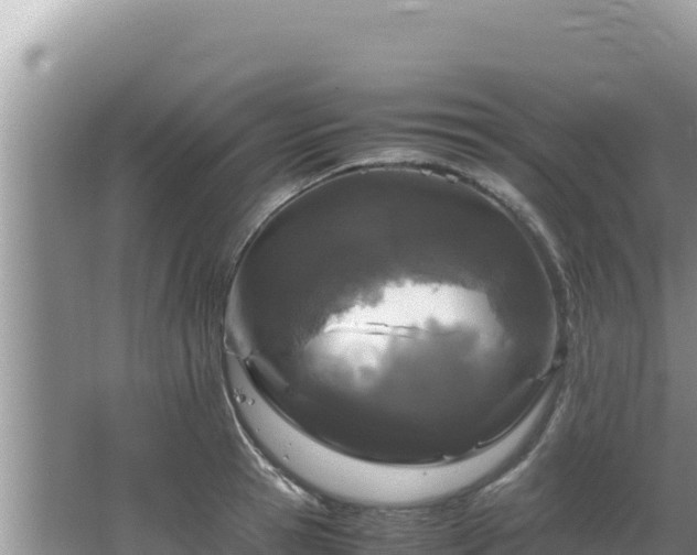 X0000064730945200602131246