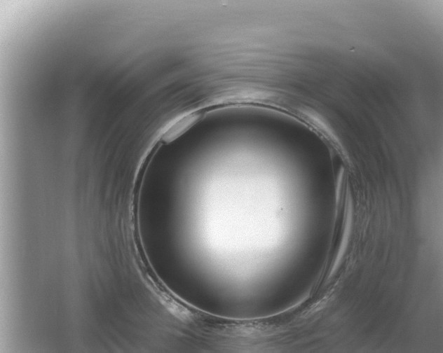 X0000064730948200602131247