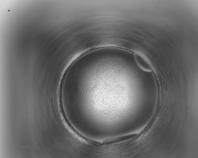 X0000064730949200602131247