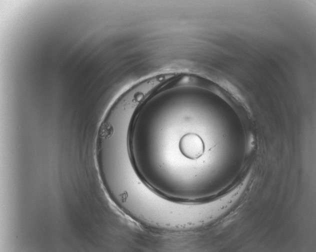 X0000064730950200602131247