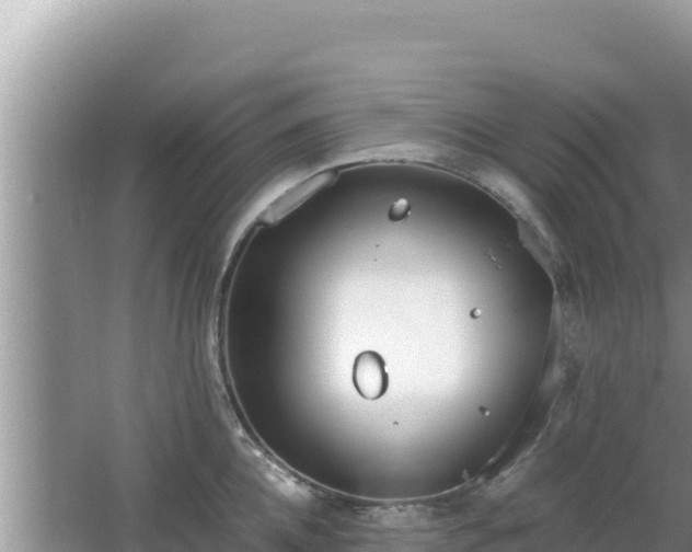 X0000064730952200602131247