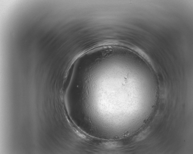 X0000064730953200602131247