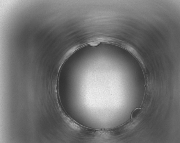 X0000064730954200602131247