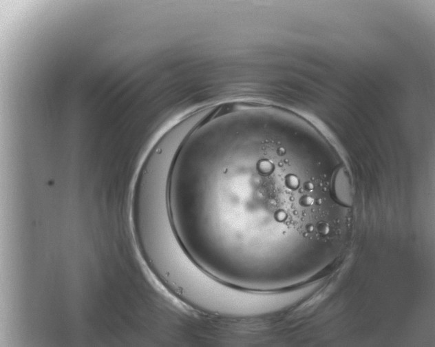 X0000064730957200602131247