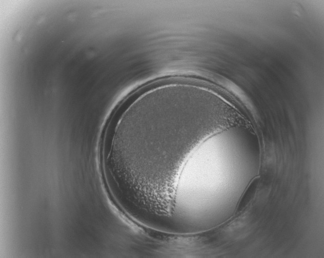 X0000064730958200602131247