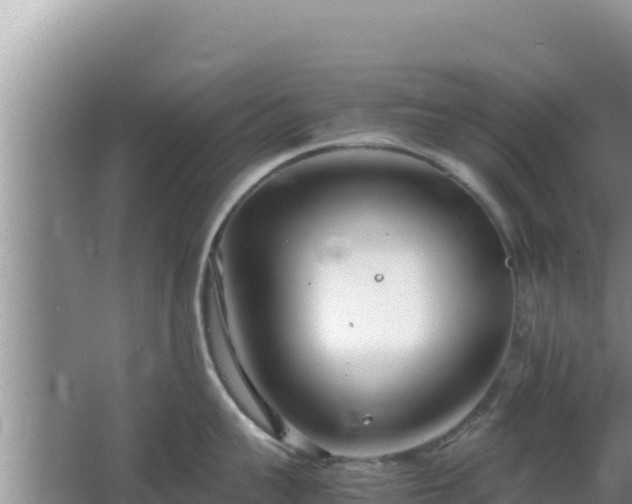 X0000064730959200602131247