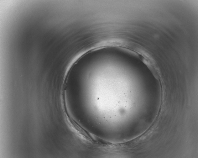 X0000064730960200602131247