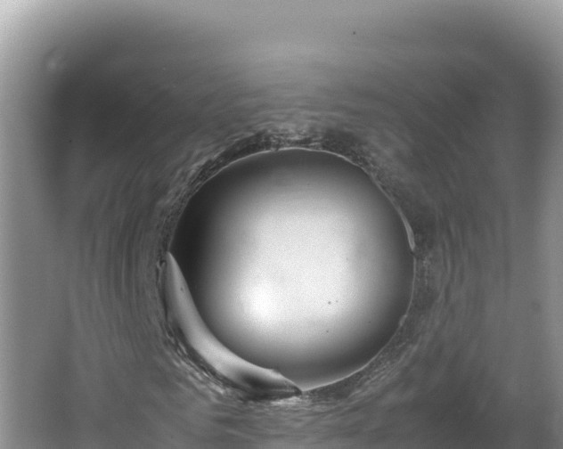 X0000064730961200602131246