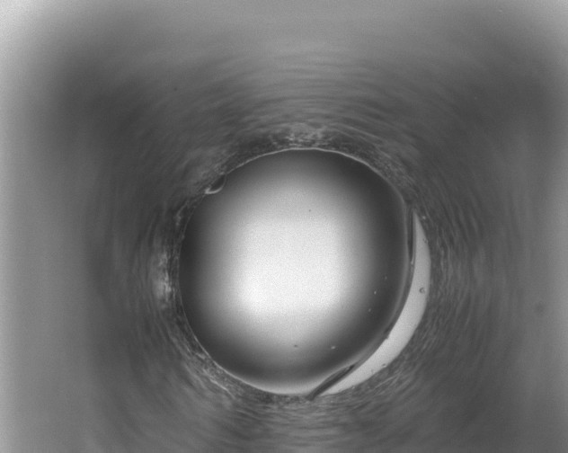 X0000064730962200602131246