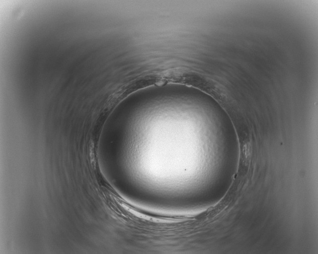 X0000064730963200602131246