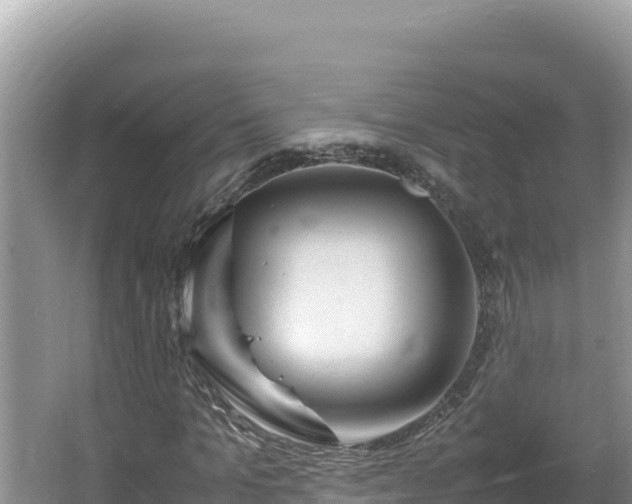 X0000064730965200602131246