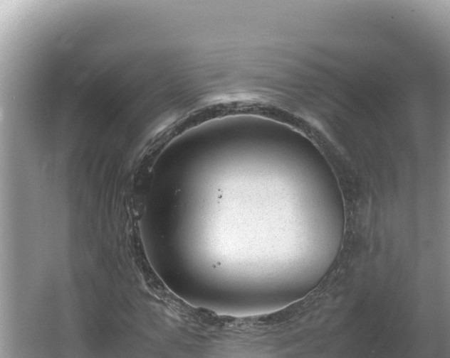 X0000064730967200602131246