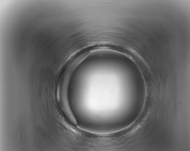 X0000064730969200602131246