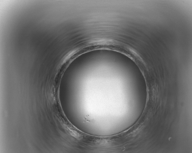 X0000064730970200602131246