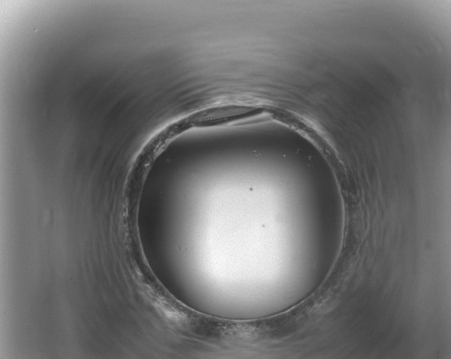 X0000064730971200602131246