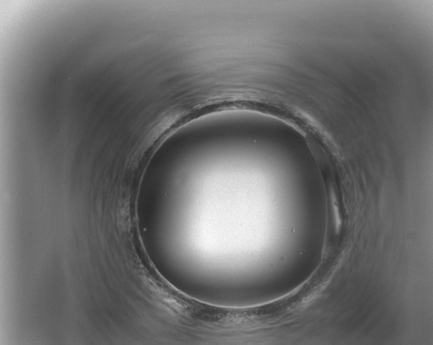 X0000064730977200602131246