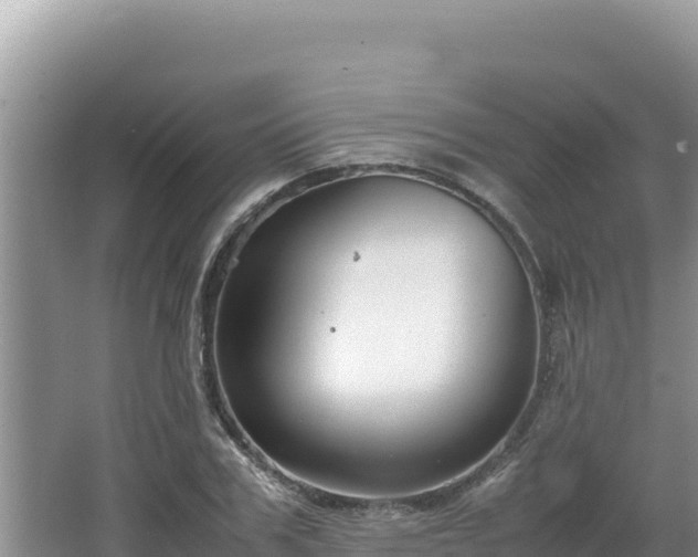 X0000064730979200602131246