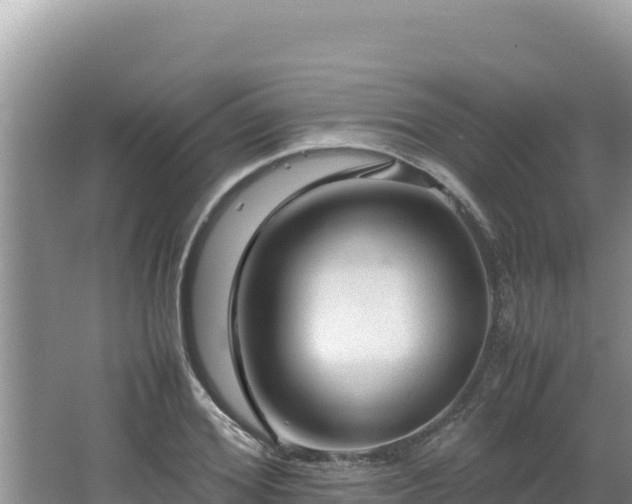 X0000064730980200602131246