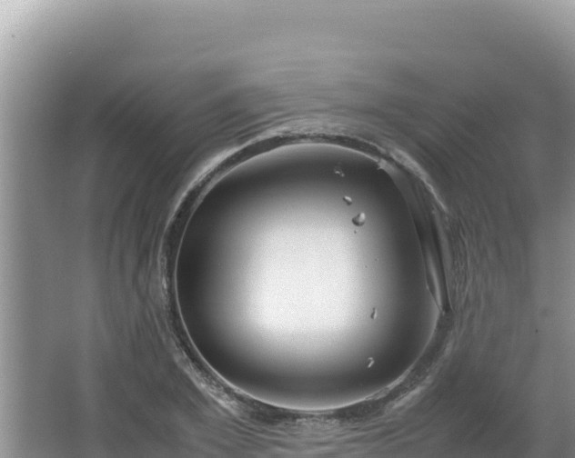 X0000064730981200602131246