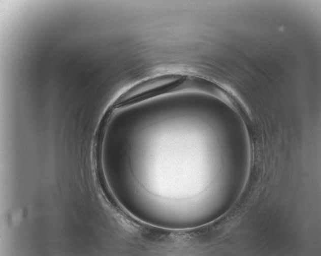 X0000064730983200602131246