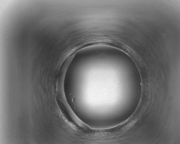 X0000064730985200602131246