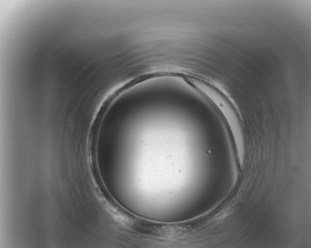 X0000064730987200602131245