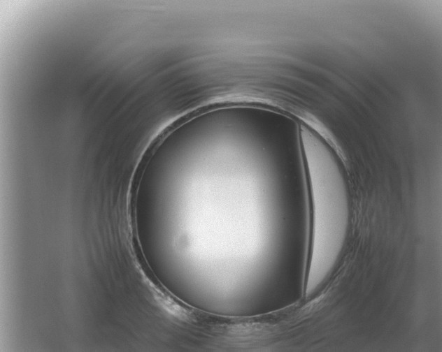 X0000064730988200602131245