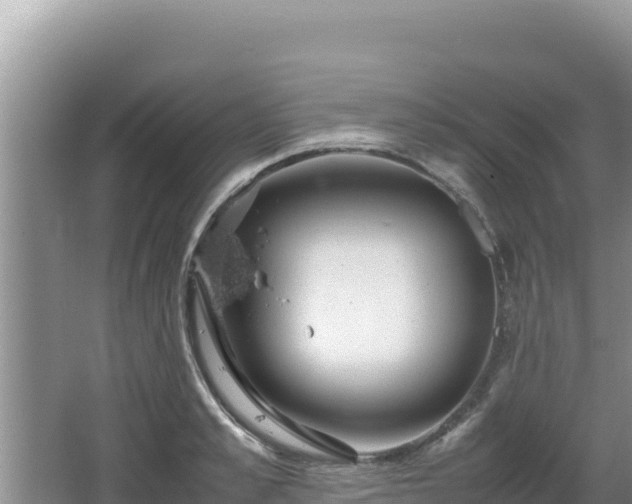 X0000064730989200602131245