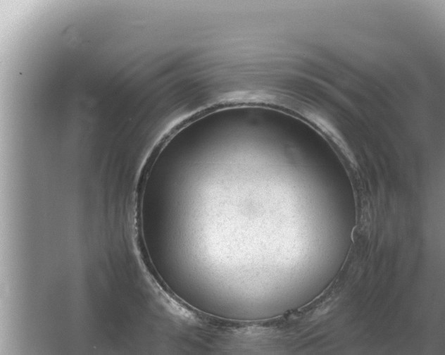 X0000064730992200602131245